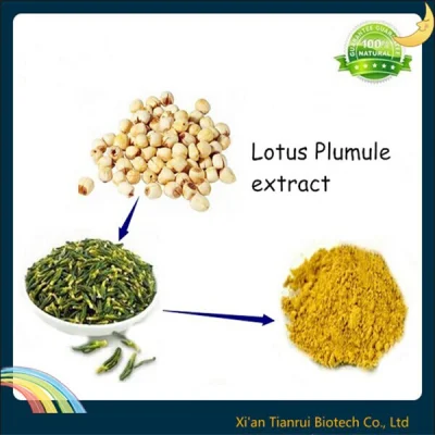 Approvisionnement d'usine 100% poudre d'extrait de graines de lotus naturel pur